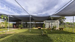American Media Amazed by Lush Eco-Friendly House in Vung Tau - image 4