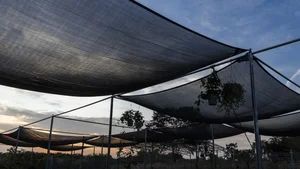 American Media Amazed by Lush Eco-Friendly House in Vung Tau - image 10