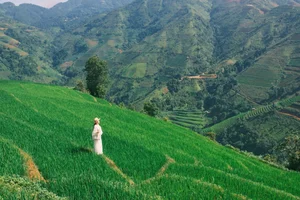 Escaping to Xim Vang: A Journey Through the Lush Green Landscapes of Northern Vietnam - image 10