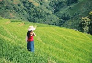 Escaping to Xim Vang: A Journey Through the Lush Green Landscapes of Northern Vietnam - image 9