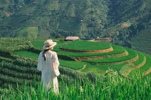 Escaping to Xim Vang: A Journey Through the Lush Green Landscapes of Northern Vietnam - image 6