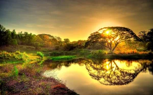 Stunning Wallpapers: Love, Life, and Nature Backgrounds for Your Devices - image 13