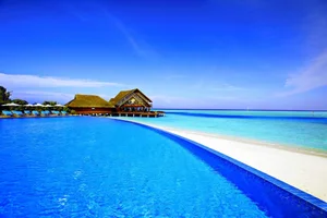 Stunning Wallpapers: Love, Life, and Nature Backgrounds for Your Devices - image 20