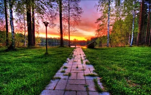 Stunning Wallpapers: Love, Life, and Nature Backgrounds for Your Devices - image 19