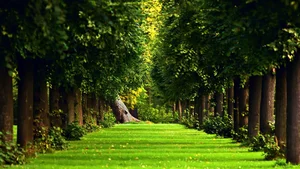 Stunning Wallpapers: Love, Life, and Nature Backgrounds for Your Devices - image 17