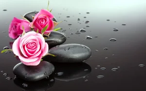 Stunning Wallpapers: Love, Life, and Nature Backgrounds for Your Devices - image 3