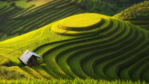 Stunning Wallpapers: Love, Life, and Nature Backgrounds for Your Devices - image 9
