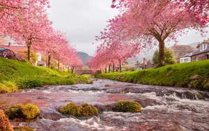 Stunning Wallpapers: Love, Life, and Nature Backgrounds for Your Devices - image 25