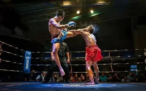 15 Fascinating Facts About Thailand Culture and People - image 3