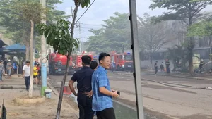 Major Fire Breaks Out at Tourist Electric Vehicle Warehouse in Gia Lai - image 3