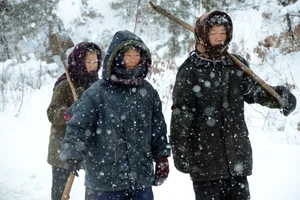 Glimpses of the Hermit Kingdom: Rare Photos Reveal Daily Life and Culture Across North Korea - image 0