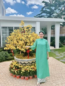 Singer Bao Thy Radiates Beauty Despite Post-Tet Weight Gain and Shares Her Strict Fitness Secrets - image 4