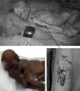 Scientists Unravel Secrets of World's Oldest Mummy with Mysterious Red Hair - image 4