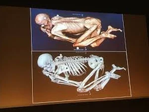 Scientists Unravel Secrets of World's Oldest Mummy with Mysterious Red Hair - image 0