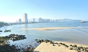 The Magical White Sand Island Emerging in the Heart of Nha Trang Bay - image 3