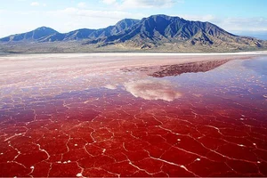 The Petrifying Mystery of Lake Natron: Africa's 'Blood Lake' - image 1