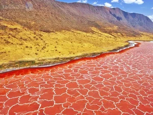 The Petrifying Mystery of Lake Natron: Africa's 'Blood Lake' - image 5