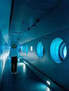 Explore the Baiheliang Underwater Museum: A Hidden Gem Beneath the Yangtze River - image 6