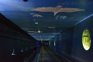 Explore the Baiheliang Underwater Museum: A Hidden Gem Beneath the Yangtze River - image 3