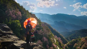 To Day Flower Season: The Pink Blossom Wonderland of Mu Cang Chai - image 2