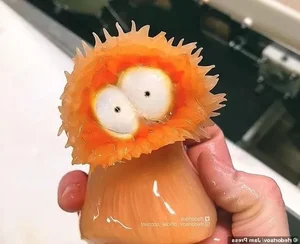 Mysterious Alien-Like Deep Sea Creature Caught by Fisherman - image 4