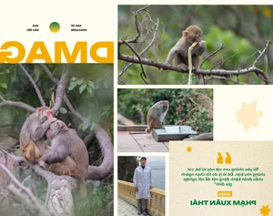 The Island Families Raising Monkeys for Medical Research Across Three Generations - image 6