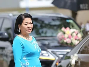 Wealthy and Powerful Mothers-in-Law of Vietnamese Beauty Queens - image 0