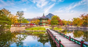 Surprising Facts About South Korea That Will Leave You Stunned - image 2