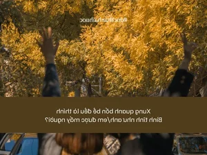 111 Funny and Unique Singles Day Captions and Wishes for 11 11 - image 2