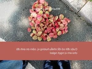 111 Funny and Unique Singles Day Captions and Wishes for 11 11 - image 3