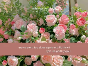 111 Funny and Unique Singles Day Captions and Wishes for 11 11 - image 7