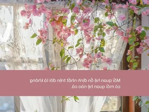 111 Funny and Unique Singles Day Captions and Wishes for 11 11 - image 0