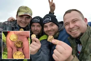 Amateur Metal Detectorist Unearths Incredible Historic Treasure in Field - image 7