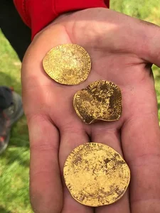 Amateur Metal Detectorist Unearths Incredible Historic Treasure in Field - image 5
