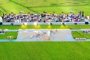 Breathtaking Contemporary Dance Performance in Hoi An Golden Rice Fields - image 8