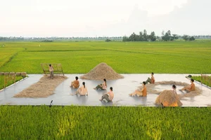 Breathtaking Contemporary Dance Performance in Hoi An Golden Rice Fields - image 7