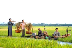 Breathtaking Contemporary Dance Performance in Hoi An Golden Rice Fields - image 4