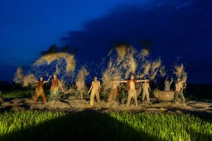 Breathtaking Contemporary Dance Performance in Hoi An Golden Rice Fields - image 5