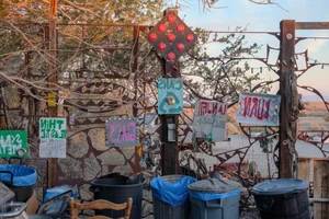 Discover the Quirky US Town Where Everything is Free - image 4