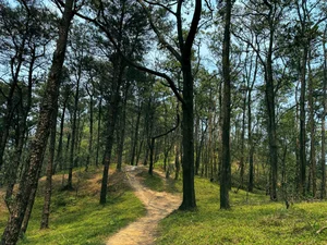 Discover the Untamed Beauty of Da Bac: A Trekking Adventure in Northern Vietnam - image 2