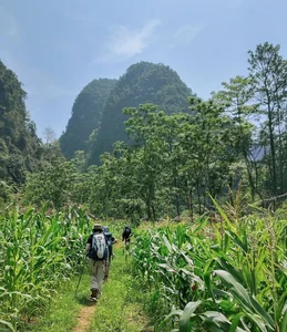 Discover the Untamed Beauty of Da Bac: A Trekking Adventure in Northern Vietnam - image 9