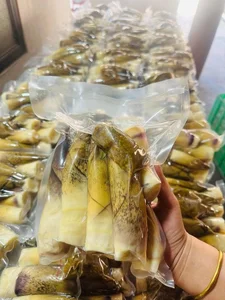 Northwest Bamboo Shoots Spark Online Craze: High Demand for Authentic Mountain Delicacies - image 8