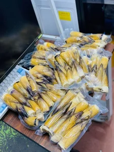 Northwest Bamboo Shoots Spark Online Craze: High Demand for Authentic Mountain Delicacies - image 9