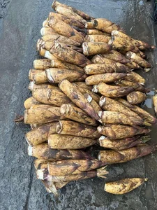Northwest Bamboo Shoots Spark Online Craze: High Demand for Authentic Mountain Delicacies - image 3