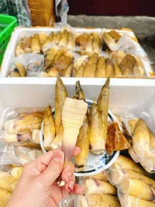 Northwest Bamboo Shoots Spark Online Craze: High Demand for Authentic Mountain Delicacies - image 5