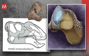 Discovery of a Massive Unknown Creature: New Prehistoric Giant Revealed - image 6
