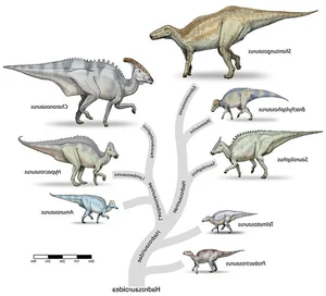 Discovery of a Massive Unknown Creature: New Prehistoric Giant Revealed - image 3
