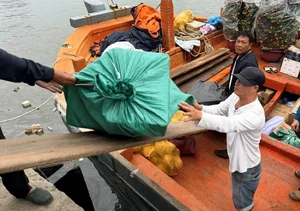 Carrying Tet to Ly Son: Bringing Holiday Joy to the Outpost Island - image 1