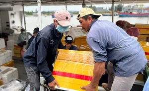 Carrying Tet to Ly Son: Bringing Holiday Joy to the Outpost Island - image 3