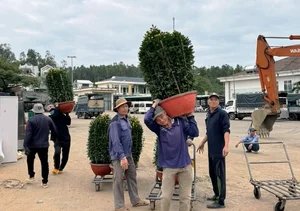 Carrying Tet to Ly Son: Bringing Holiday Joy to the Outpost Island - image 2